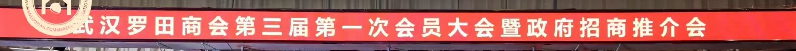 喜讯｜荣膺副会长单位，凝心聚力，共启新程｜武汉绿能嘉业亮相武汉罗田商会换届盛典